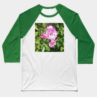 Pink Roses Baseball T-Shirt